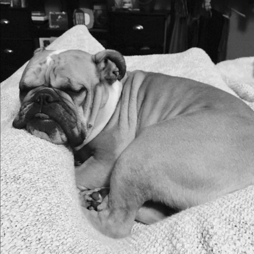 Meet your Posher, Kristen